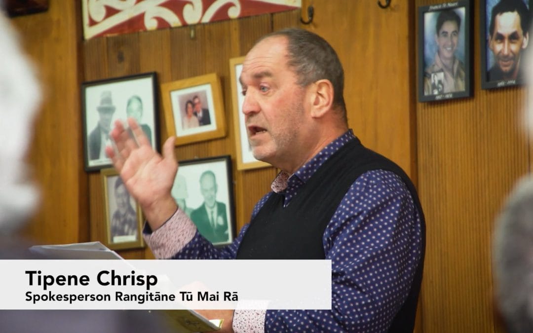 Meeting with UN Special Rapporteur – Tipene Chrisp, Spokersperson, Rangitāne Tū Mai Rā